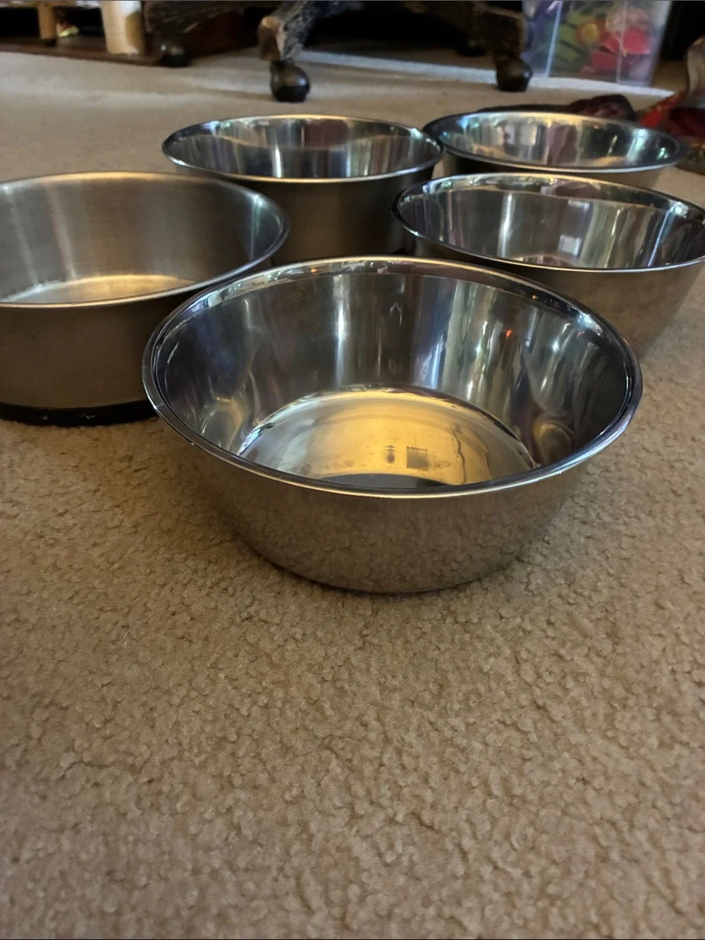 Stainless Steel Pet Bowls - Set of 5 (Silver)